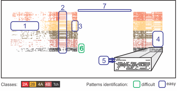 An Online and Nonuniform Timeslicing Method for Network Visualisation